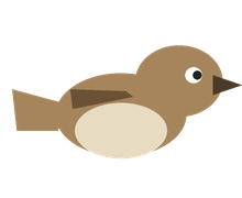 House Sparrow